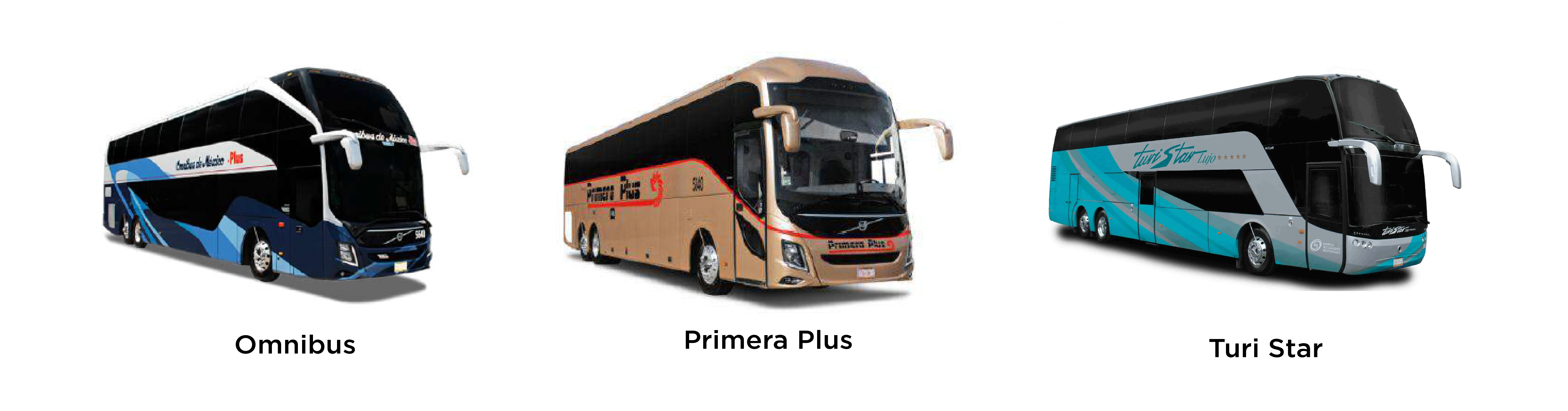 lineas-de-autobuses